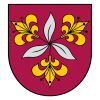 BK Vecumnieki logo